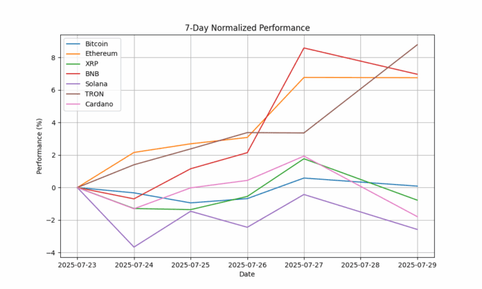 7_day_performance_chart