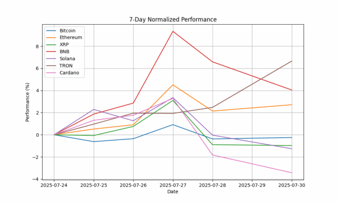 7_day_performance_chart_20250730_092748.png