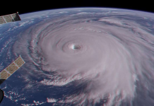 Word of the Day: Cat Bonds, Wall Street’s Wild Bet on Mother Nature