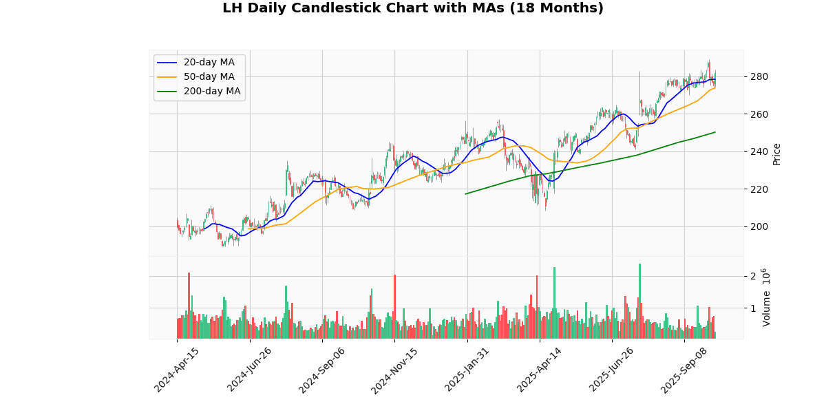 Top Leading and Losers of S&P 500 Today: Insights LH Daily Candlestick Chart