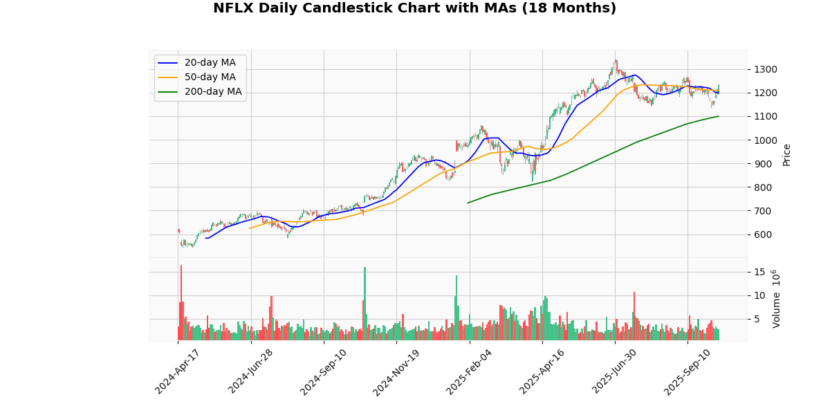 NFLX Daily Candlestick Chart