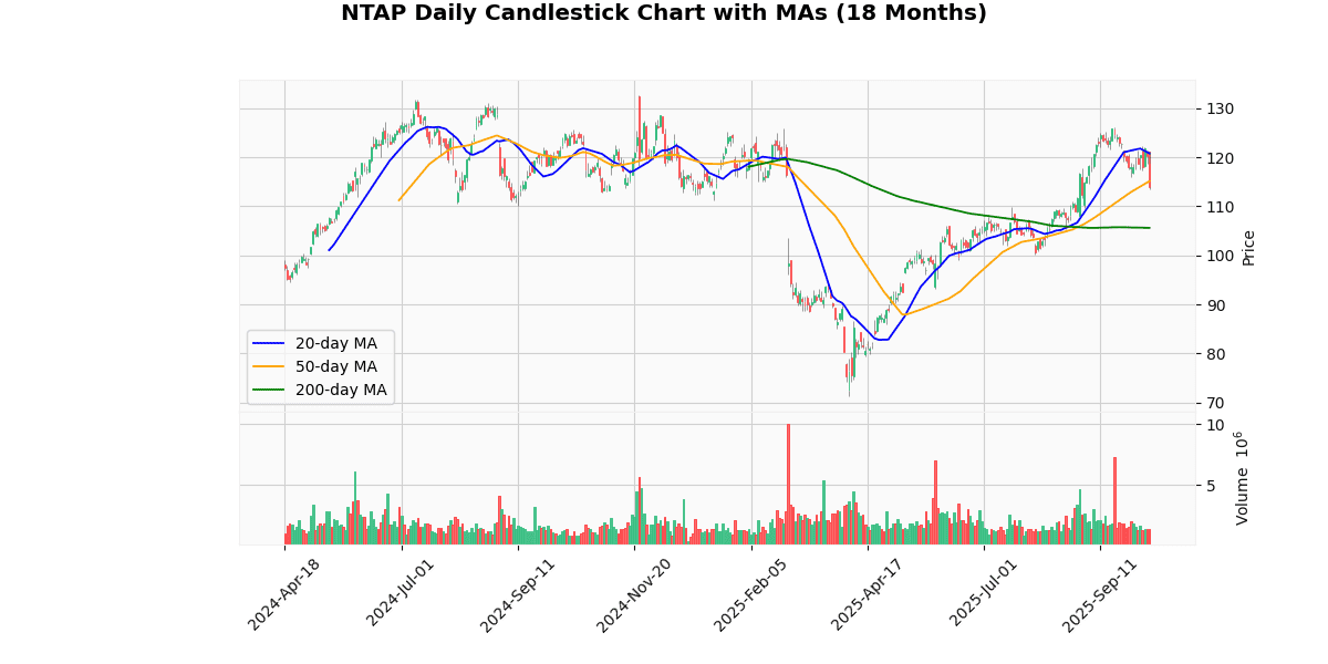 Top Leading and Losers of S&P 500 Today: Insights NTAP Daily Candlestick Chart