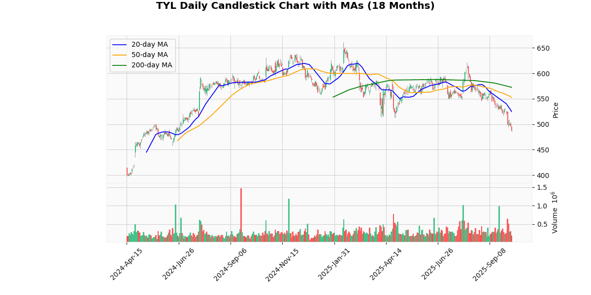 Top Leading and Losers of S&P 500 Today: Insights TYL Daily Candlestick Chart