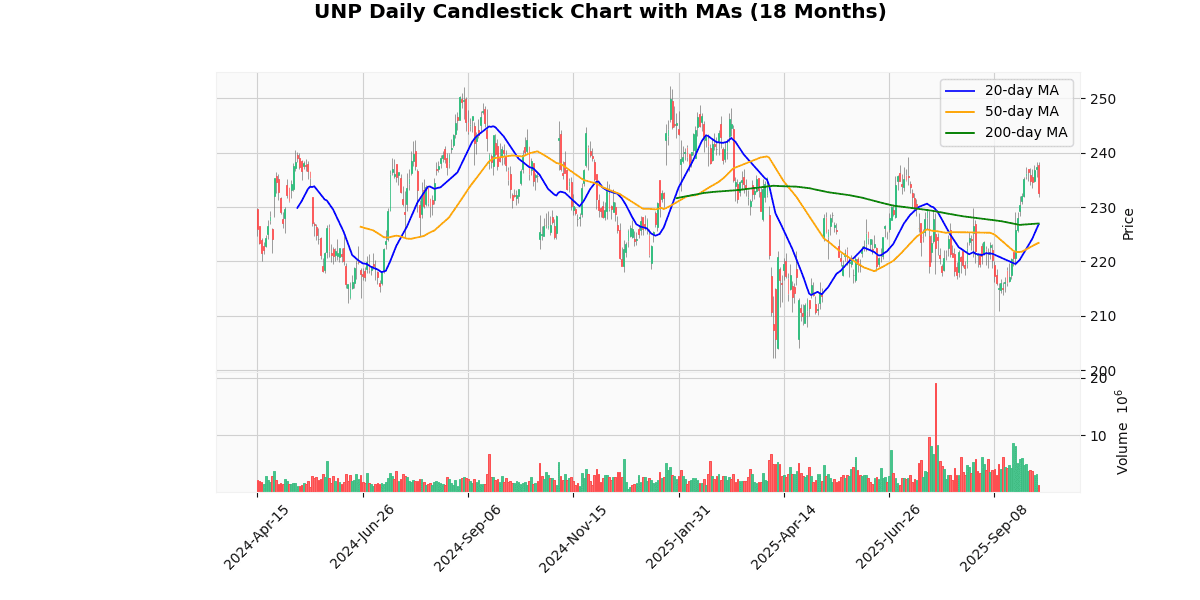 Top Leading and Losers of S&P 500 Today: Insights UNP Daily Candlestick Chart