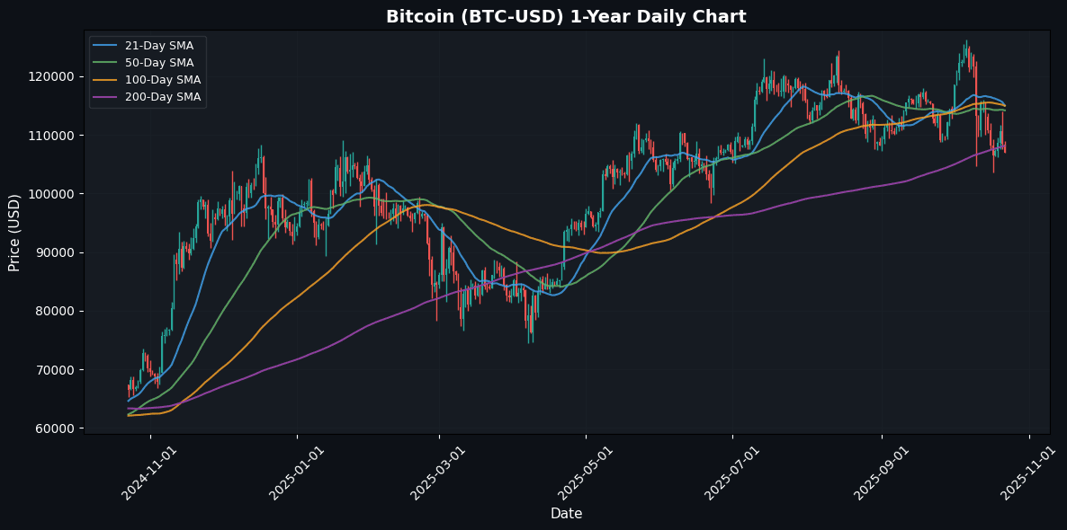 Negative Risk Appetite for Crypto: Market Snapshot Bitcoin Daily Chart