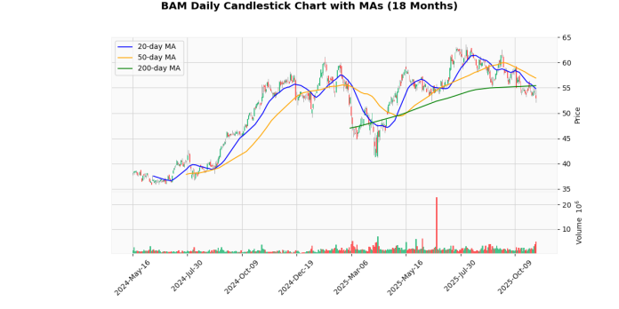 BAM_chart_f431934d.png