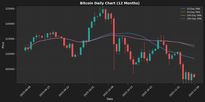 Bitcoin_weekly_20251108_090646.png