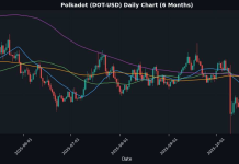 Crypto Update: Polkadot Plunges 14.84% – Market Analysis